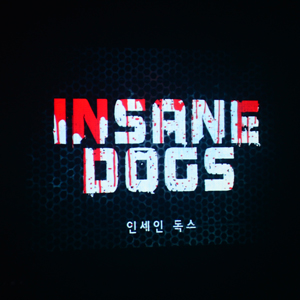 밴드, 인세인독스 Insane Dogs. @기타 플랜트 긱 / 디딤홀 / 홍대