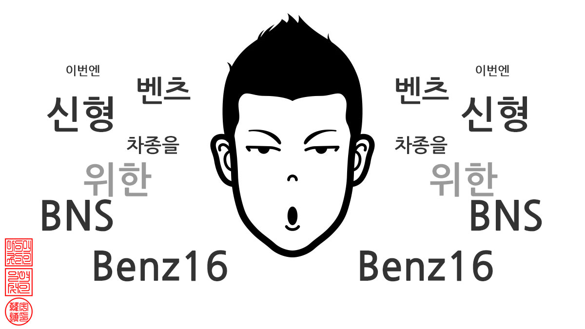 디지털 비디오 인터페이스 BNS Benz_16